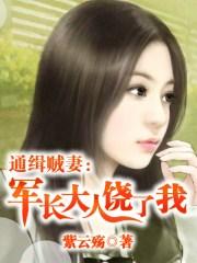 通缉贼妻军长大人饶了我全文阅读