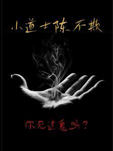 小道士陈不欺完结了吗