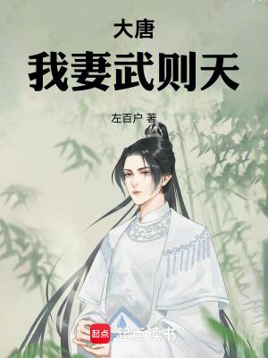 大唐我的妻子是武媚娘