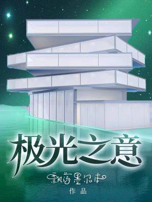 极光之意讲什么的