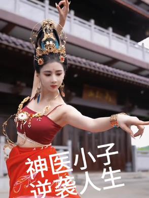 神医小子下山找未婚妻