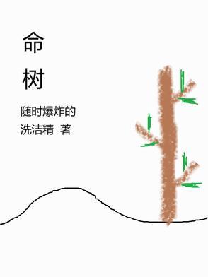 fotona欧洲之星ceo参访生命树