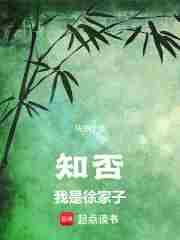 知否我是徐家子女主角是谁