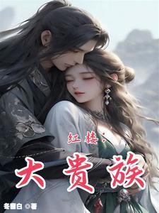 红楼大贵族加料版